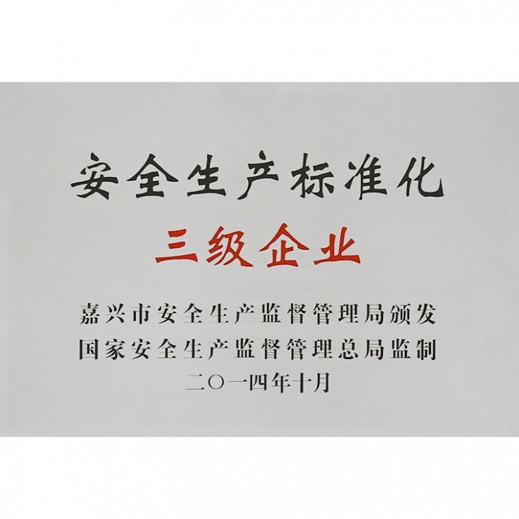 安全生產(chǎn)標(biāo)準(zhǔn)化三級(jí)企業(yè)